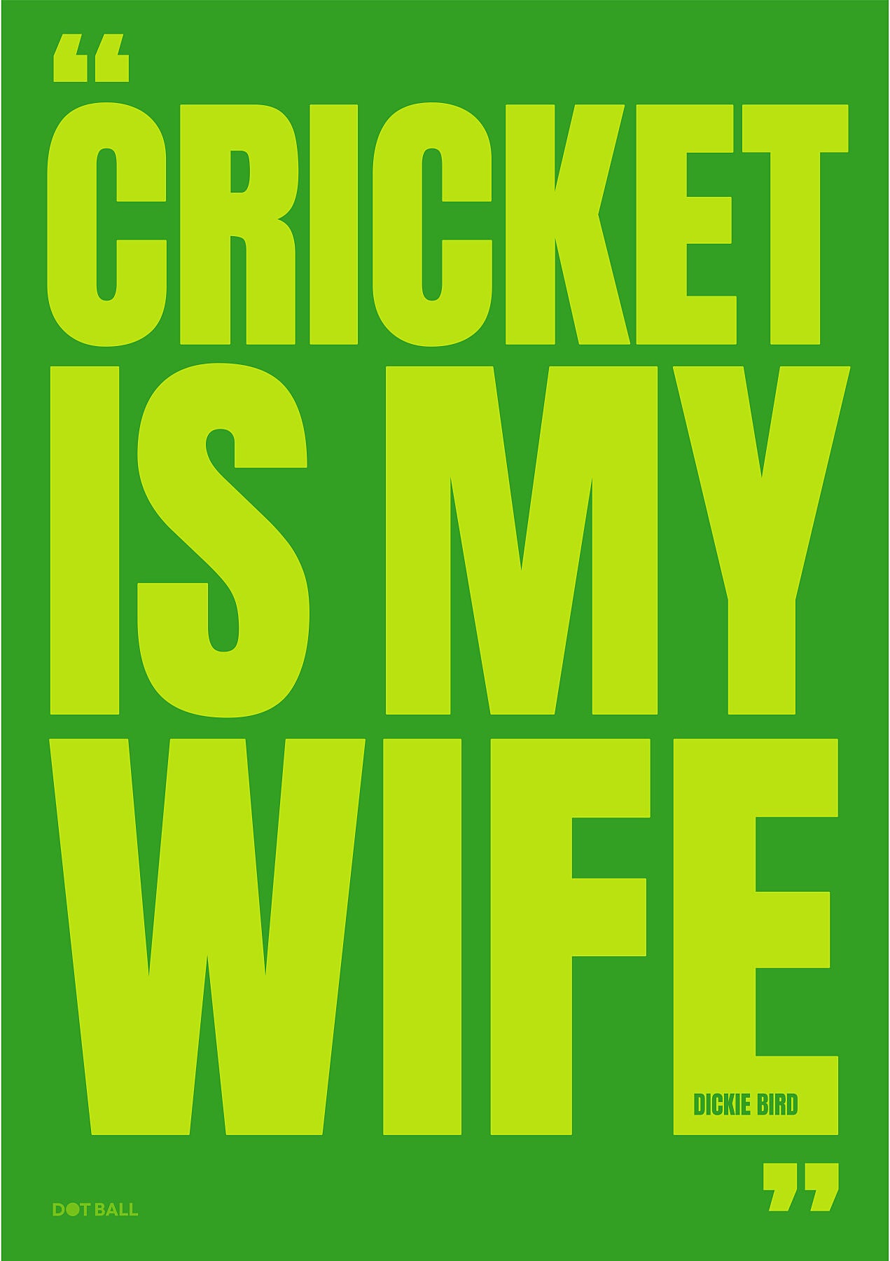 Cricket Art Poster
